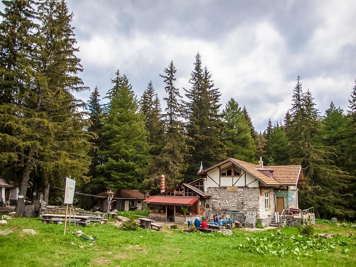 Вилла Lovna Hut Паничиште Экстерьер фото